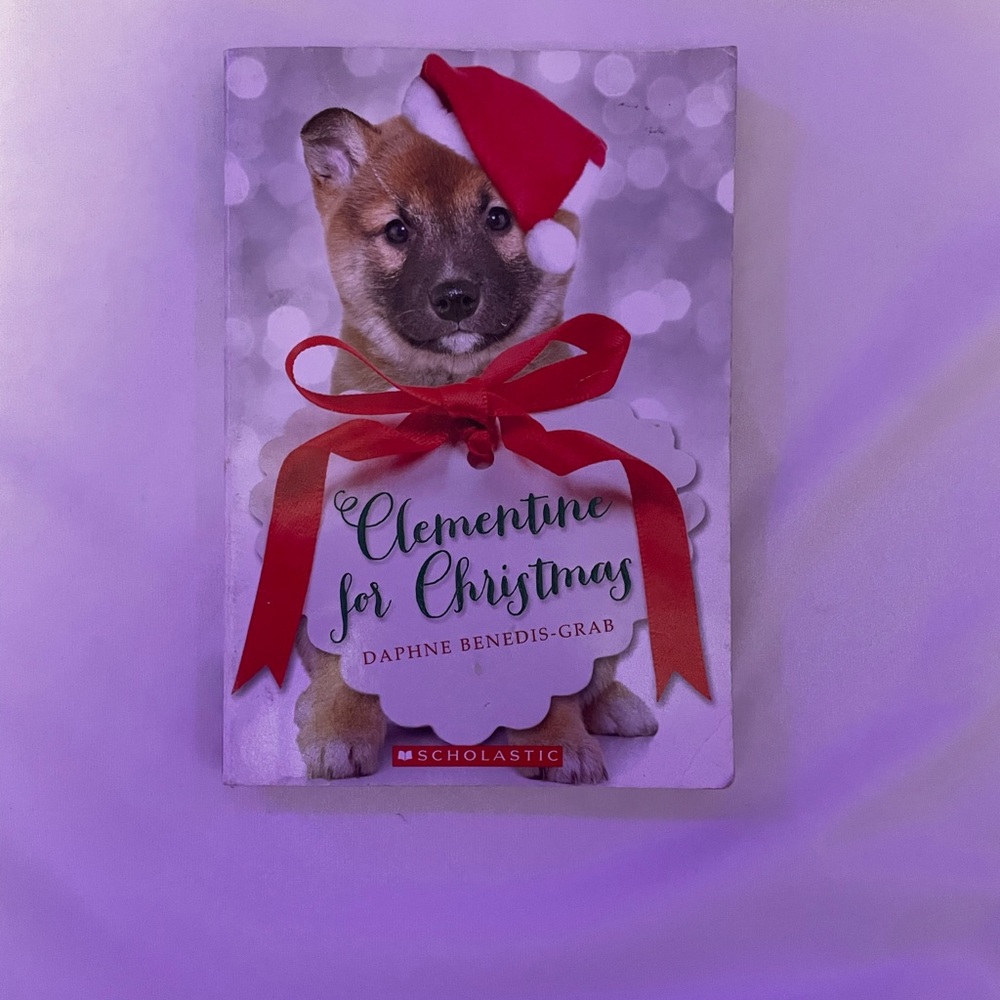 Scholastic Holiday Book with Red Accents